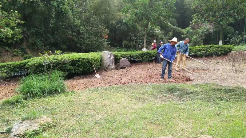 边坡绿化施工流程：从规划到验收的全方位解析