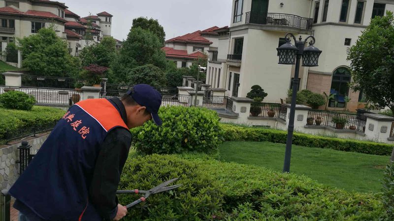 小区绿化工程设计：如何实现方案优化**