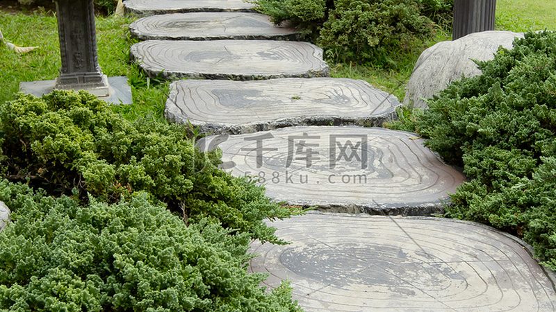 立体绿化墙植物选择：因地制宜，打造生态景观**