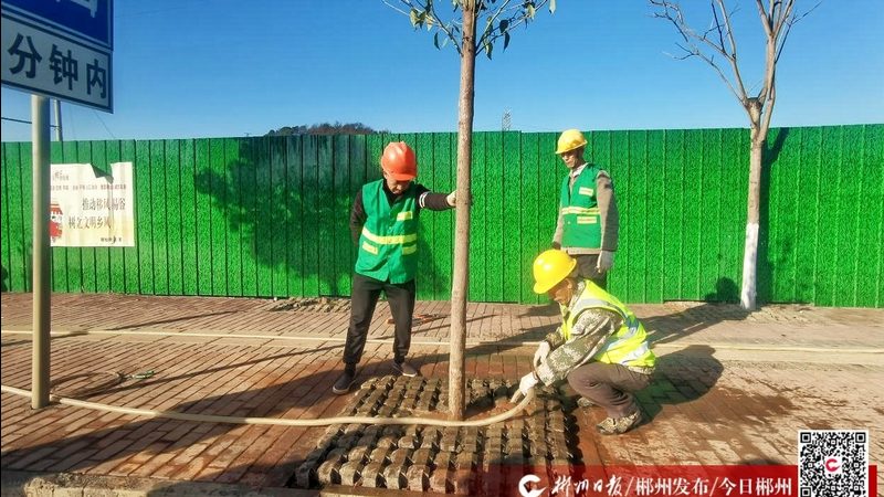 小区绿化预算编制，这五个步骤不容忽视