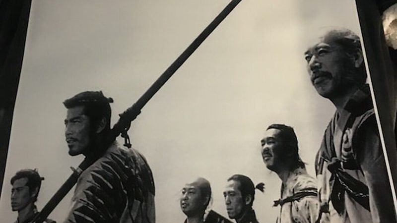 立体绿化墙尺寸规格全解析：打造绿色空间的关键**