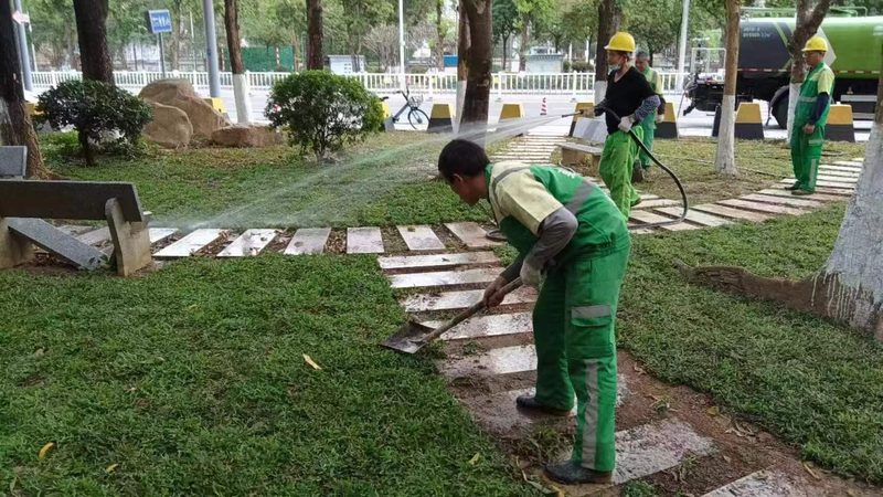 草坪杂草防治：如何选择有效的药剂品牌