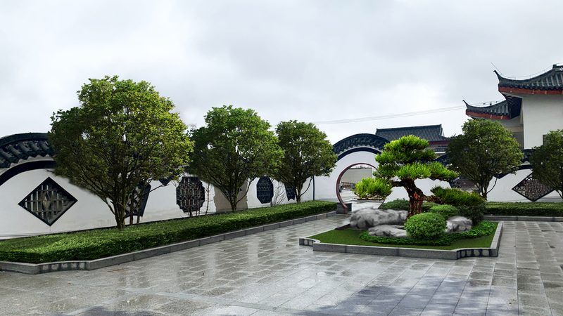垂直绿化：打造城市绿墙，规范与价格解析