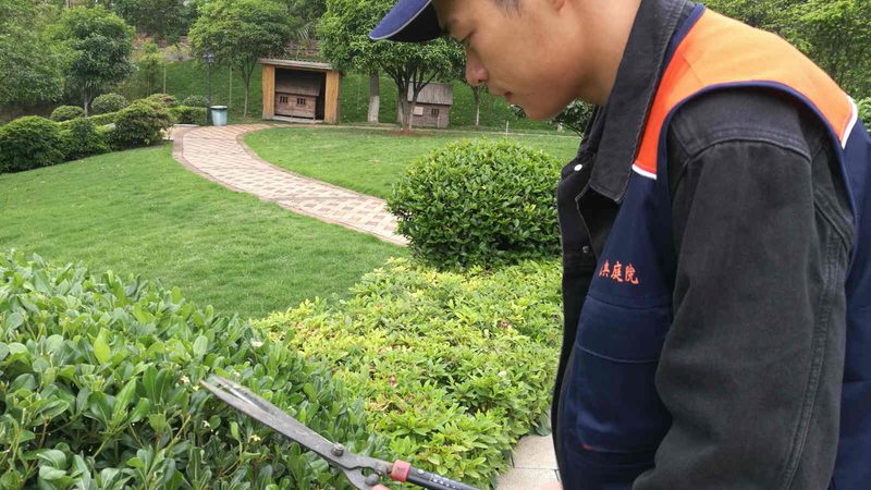 加盟高端园林绿化养护公司，如何选择？**