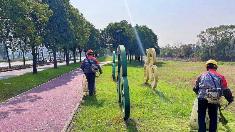 人造草坪与真草坪：一场生态与美观的较量