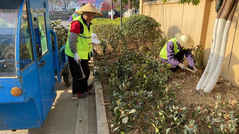 花卉租摆：厂家直销材质分类解析
