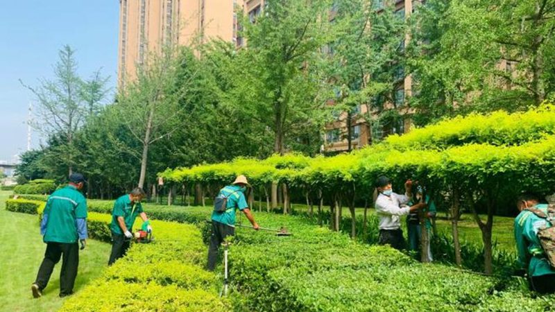 成都垂直绿化墙：成本构成与影响因素解析